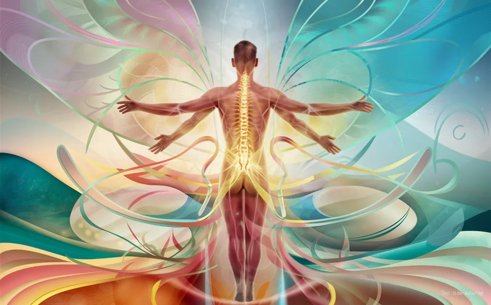 Chiropractic Care for Health and Wellness