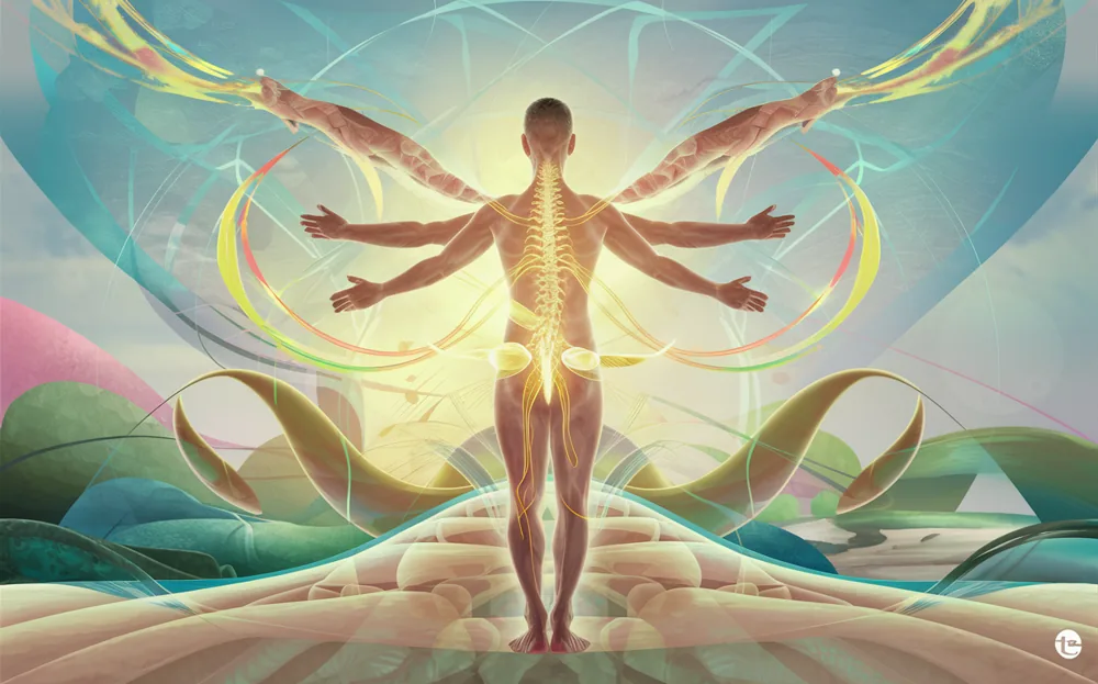 Chiropractic Care for Health and Wellness