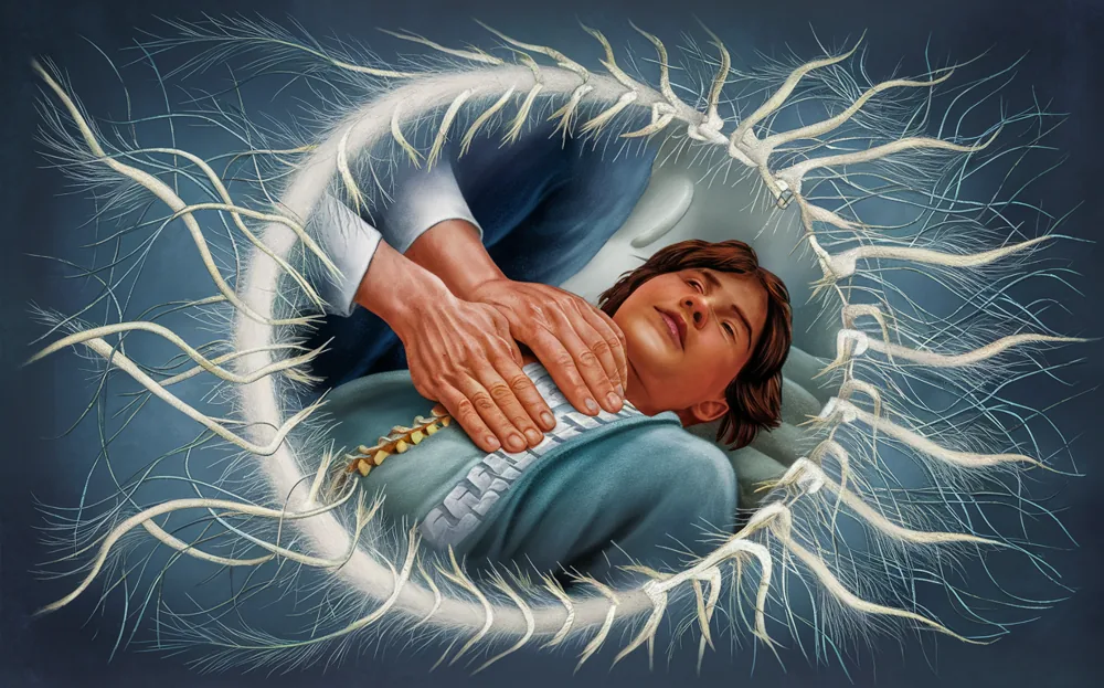 An illustration depicting a human spine and nervous system, with glowing orange highlights on the vertebrae and nerve pathways, symbolizing the focus of chiropractic treatment on maintaining optimal nervous system function through spinal adjustments.
