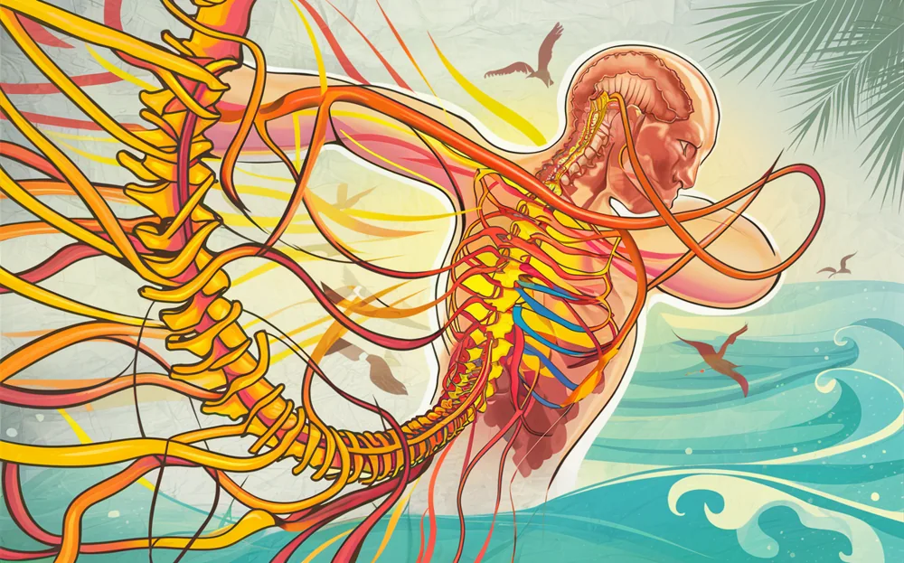 An artistic illustration depicting the benefits of chiropractic care for optimizing nerve supply, featuring a human figure with a detailed spinal column and nerves radiating outwards against a scenic ocean backdrop with birds in flight.
