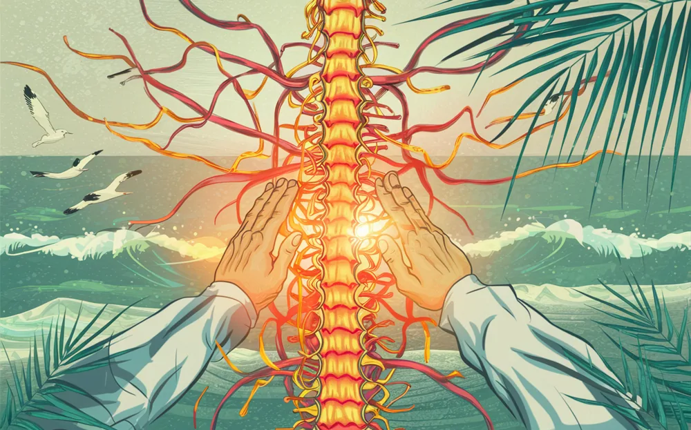 An illustration depicting the importance of chiropractic care for maintaining a healthy nerve system, with a stylized human figure showing the spine and nerve pathways, surrounded by the ocean and seabirds in Vidnore, Florida.